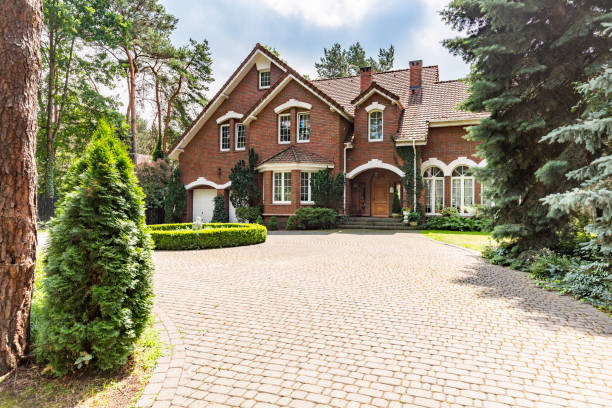 Best Best Driveway Pavers  in Morenci, AZ