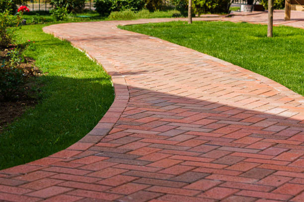 Best Driveway Paving Contractor  in Morenci, AZ